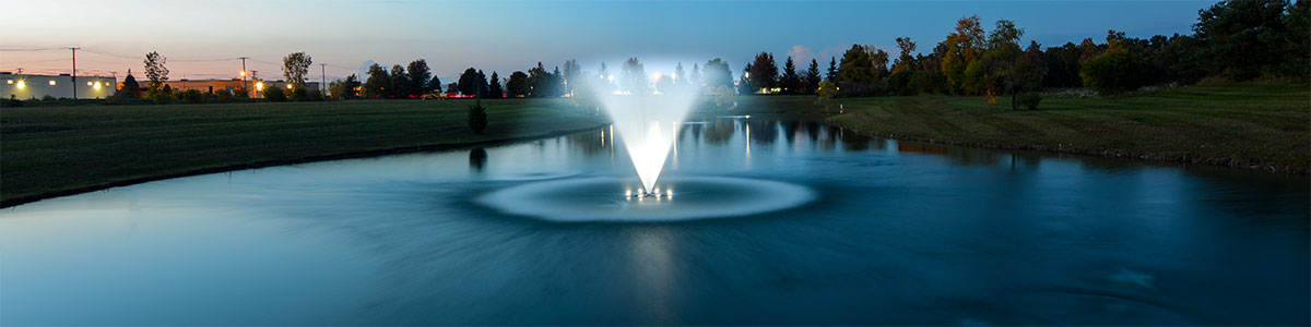 The Best Pond Fountain Buyers Guide