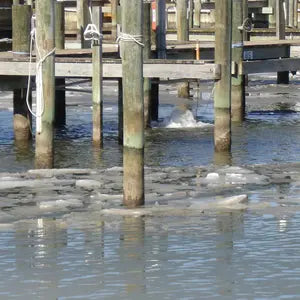 Dock De-Icers keep a marina s waters from freezing.