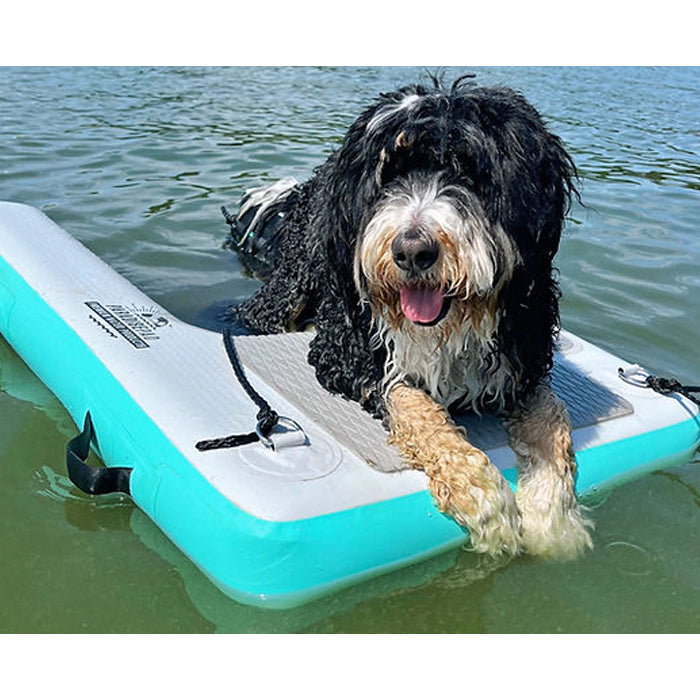 The blue variation of the Inflatable Dog Water Ramp with a dog on it in the water.