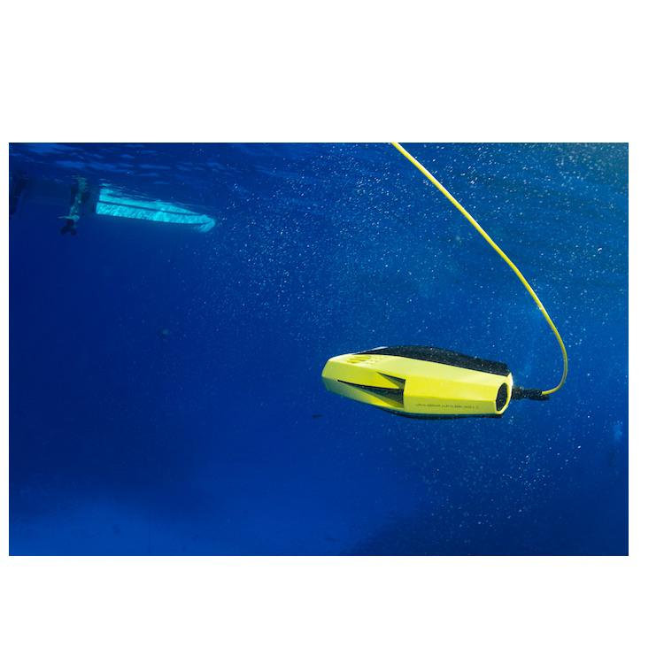 Chasing Dory Underwater Drone