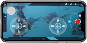 Chasing Dory Underwater Drone