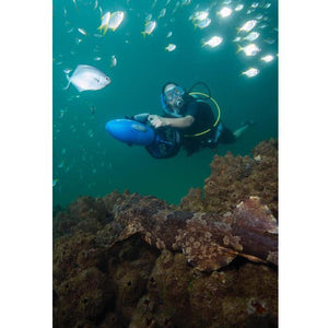Underwater exploring with the Yamaha RDS250 Seascooter.  The user is riding the blue, black and grey by holding on to the handles.  She is in the water above a reef that has a chameleon fish on it and several fish are above her.  The Yamaha RDS 250 Sea Scooter can reach depths of 100ft.