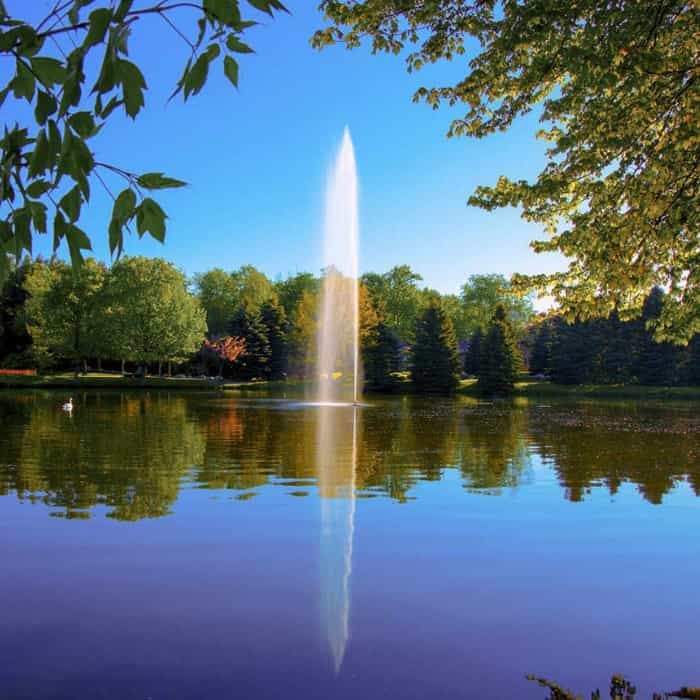 Beautiful sight of the Scott Aerator Gusher Floating Pond Fountain 1 1/2 Hp Floating Fountain as a large pond fountain or small lake fountain.  The brilliant white spray going up and falling back down into the lake that is reflecting purple and blue colors as well as the forest park background.  A fantastic view of the floating water fountain.