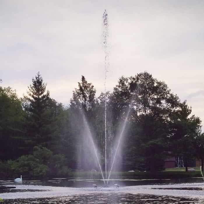 Scott Aerator Clover Pond Fountain 1 1/2 Hp 40ft high display is on display.  You can see the great height of the floating pond fountain against a dark green background under overcast skies.