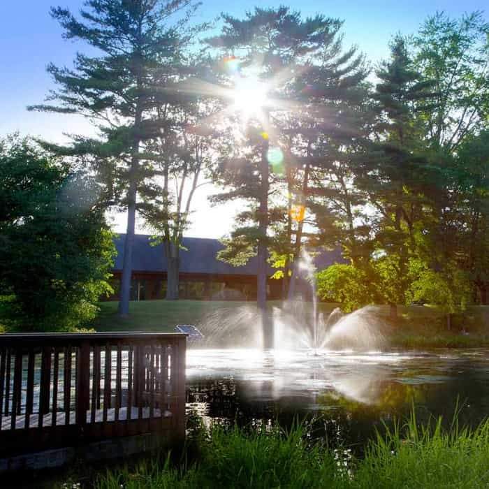 Scott Aerator Skyward Pond Fountain 1/2 - 1 Hp