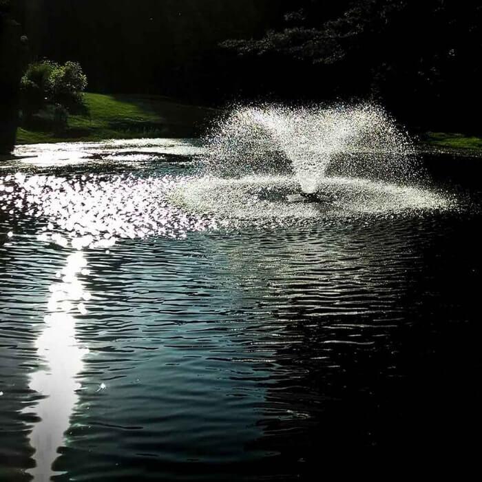 Scott Aerator DA-20 Display Aerator 1/3 Hp Floating Pond Fountain reflecting a trumpet spray on the floating lake fountain. Also known as a Small Pond Aerator Fountain.