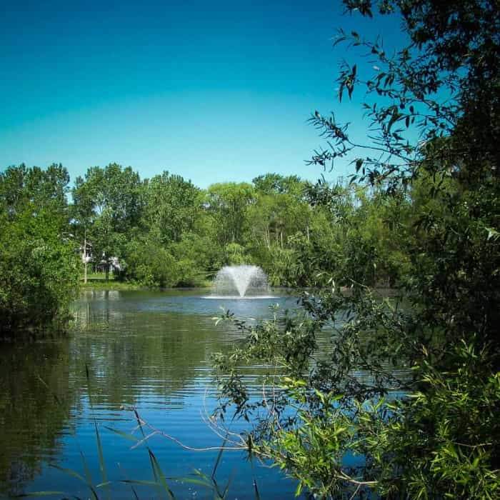 Scott Aerator North Star Aerator 1 1/2 Hp