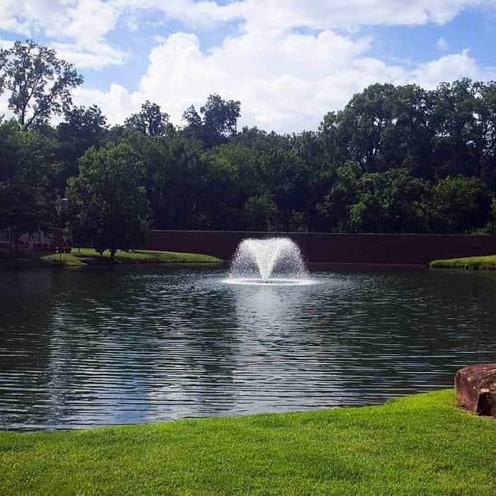 Scott Aerator North Star Aerator 1 1/2 Hp