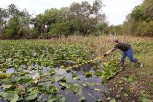 A man uses his Jenlis Lake Rake to clean a pond.