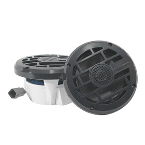 Roswell R 6.5″ Marine Speaker