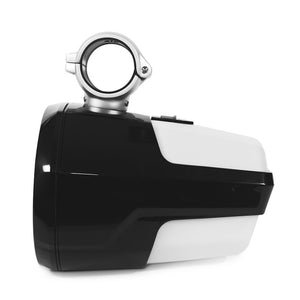 Roswell R1 Pro Tower Speakers